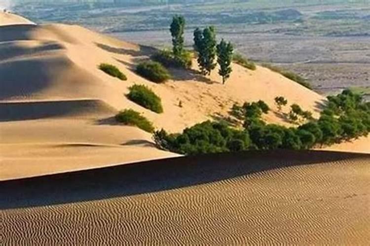 沙中土和天上火合婚吗？