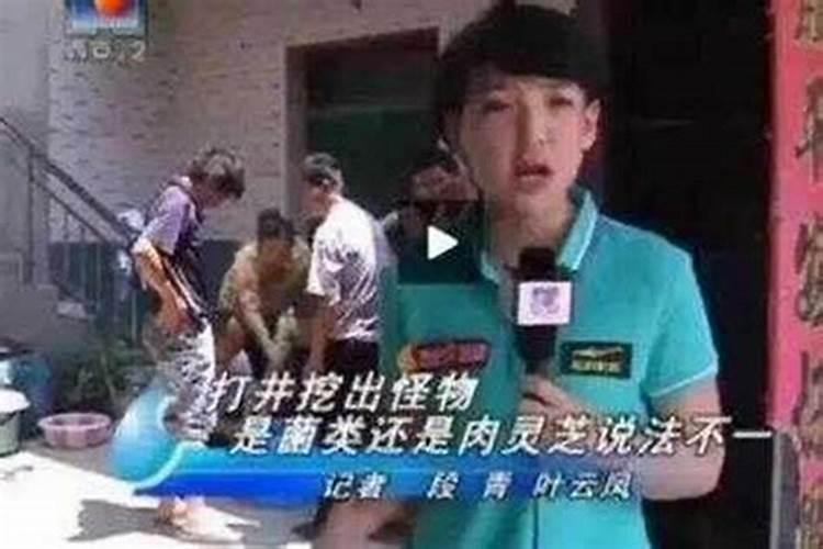 女记者采访太岁的新闻