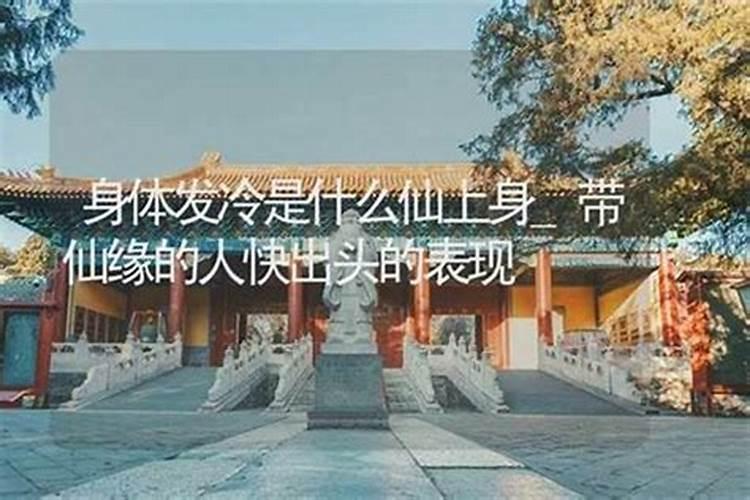 上身哭的是什么仙？