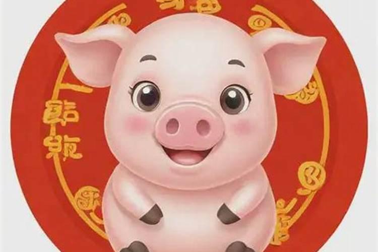 属猪人今年的运势和运程