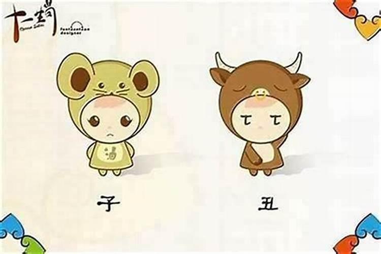 女鼠和男鸡的合婚吗？