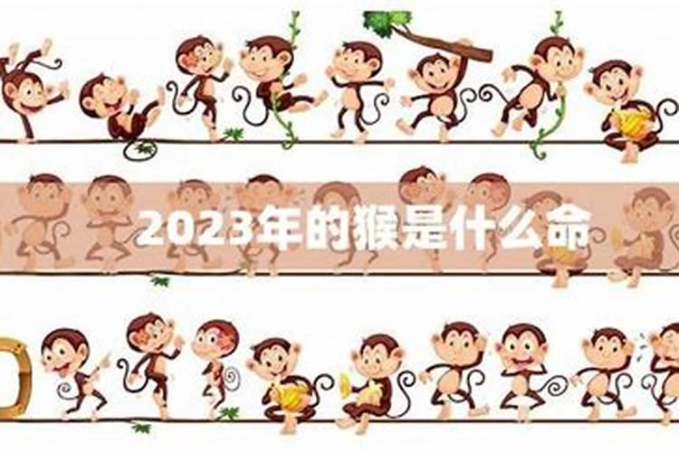 本命年猴年要注意什么？