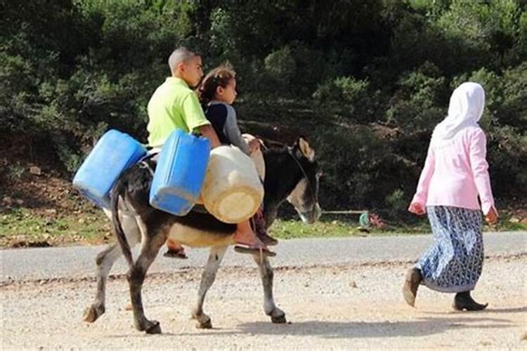 梦到骑驴什么意思？