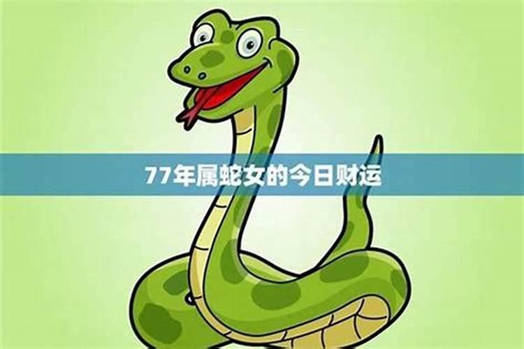77属蛇的今年运势如何？