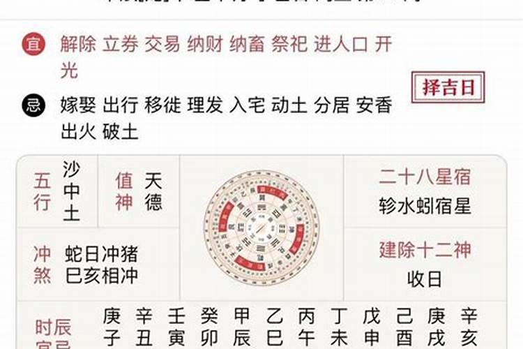 1993正月初五命运