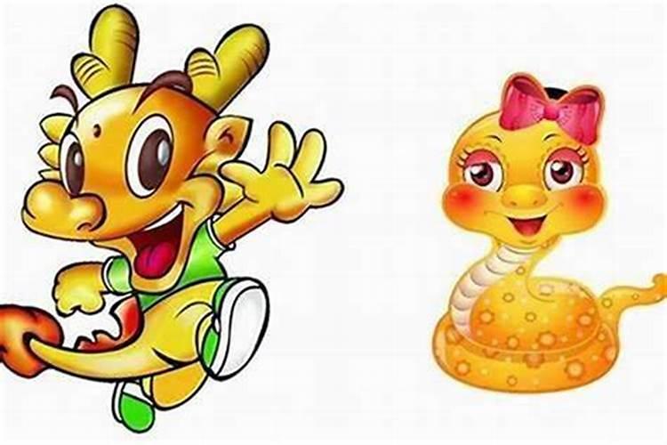 男属龙配女属蛇合婚吗？