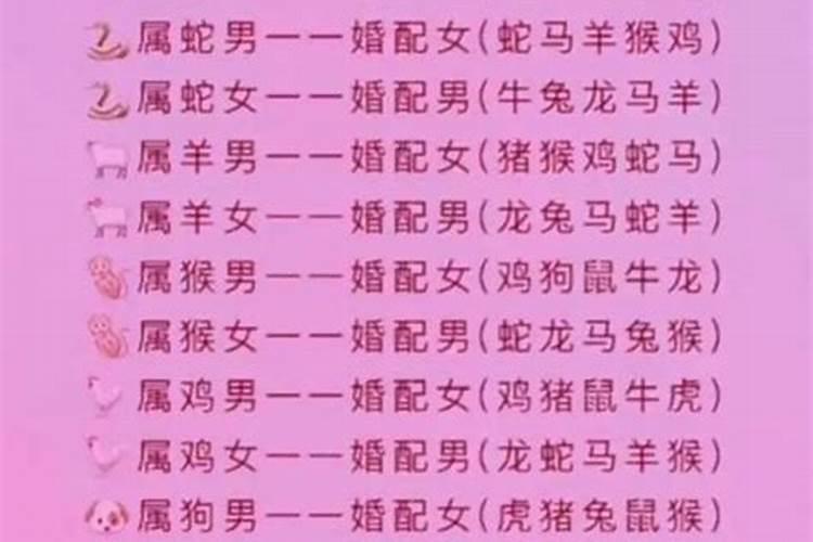 属相婚配属于什么？