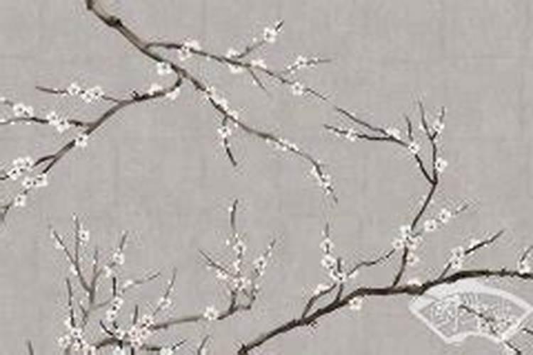 日坐墓库女命自带财富配偶疼爱