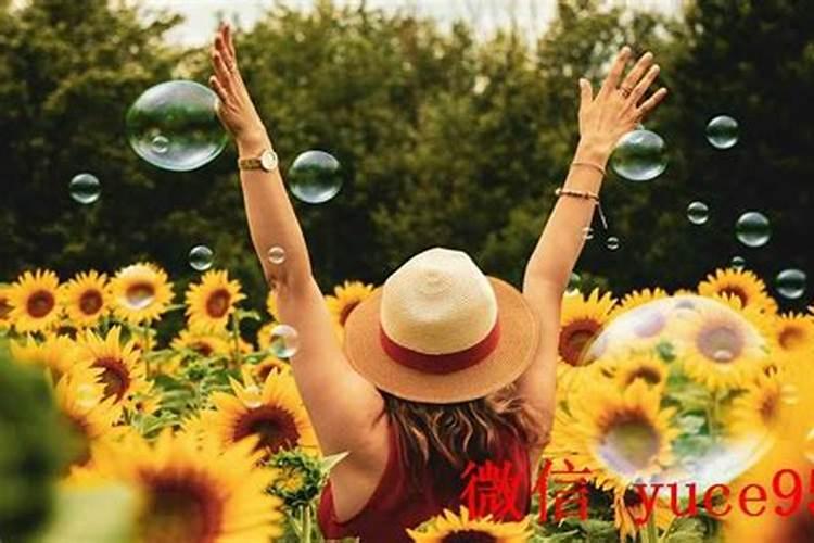 巢湖哪里有算命的高人？