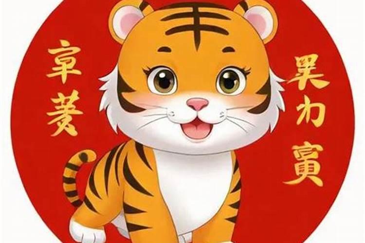 本命年属虎的运气咋样呀