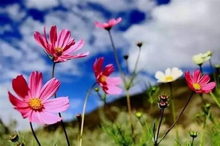 超度婴灵什么时间好？