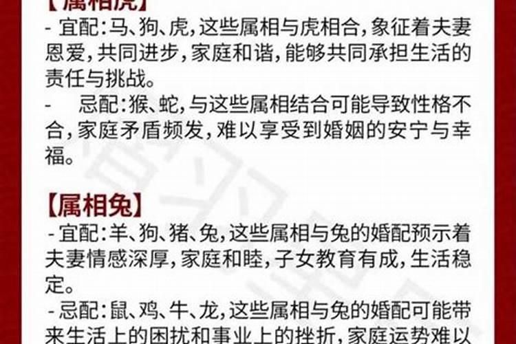 女猴男马合婚吗？