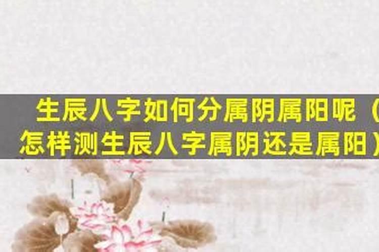 怎么看生辰八字属阴还是阳？
