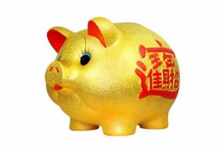 正月初一出生是金猪吗？