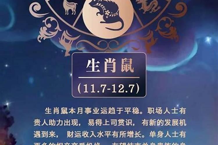 属鼠出生的12个月运程