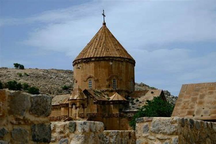 2026属狗出生宝宝运势如何？