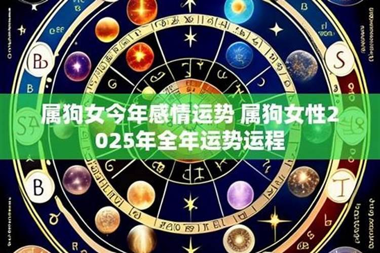 今年女属狗运程怎样？
