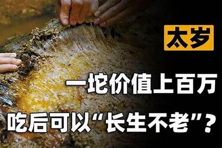 太岁水热喝还是凉喝？