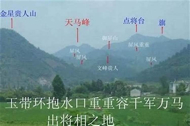 在哪能请人看风水？