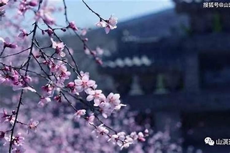 生辰八字桃花运什么意思？