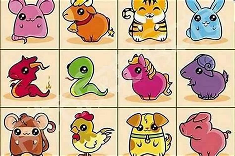 最好的女人属相