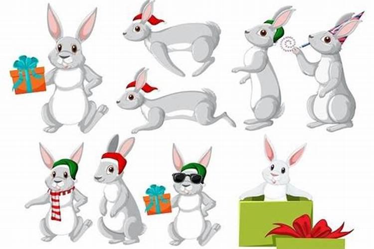 兔男蛇女八字合吗？