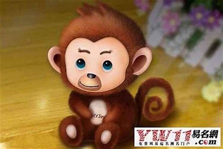 属猴的配什么合婚？