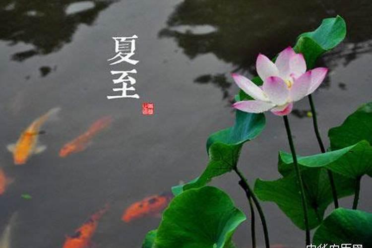 夏至是第几个节气？