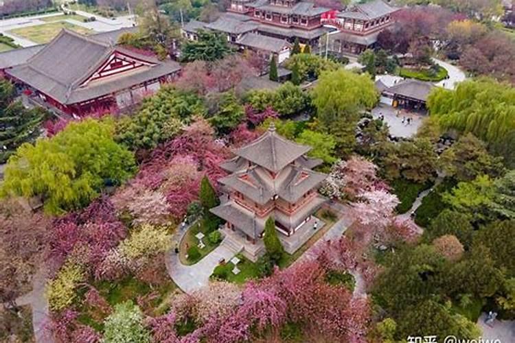 清明节西安去哪里玩比较好？