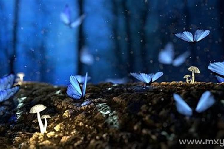 梦见女尸是什么意思？