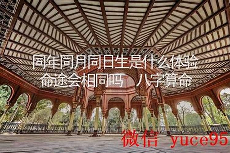 同年同月同日生八字合吗？