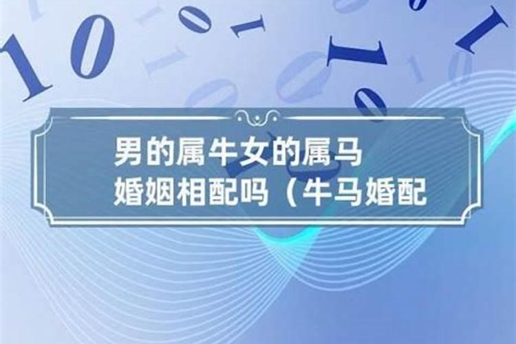 男马与女主属相婚配可以吗？