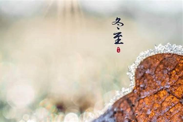 冬至冬至愿所有人好运将至