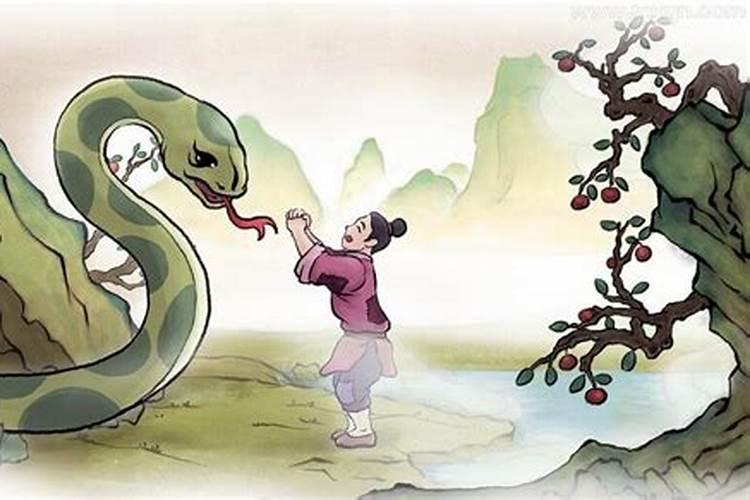 梦见蟒蛇追自己是什么意思解梦？