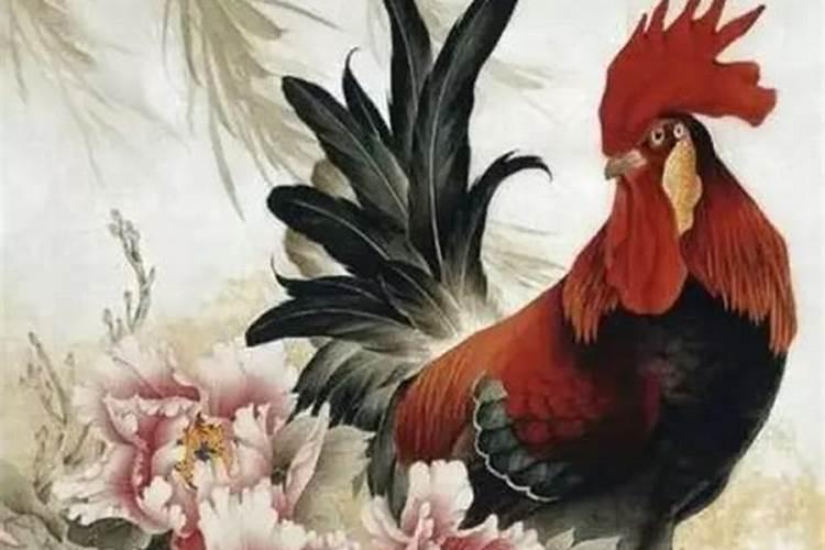 81年属鸡今年月份运程