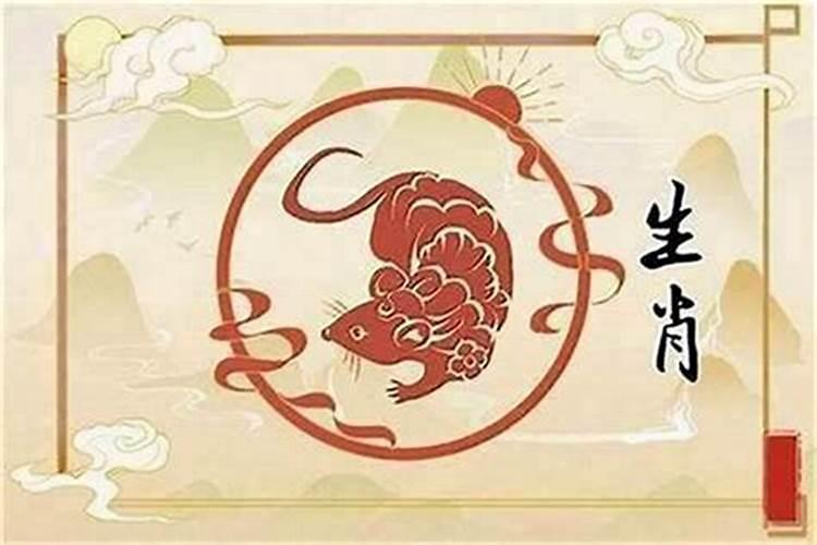 男主和女鼠八字合吗？