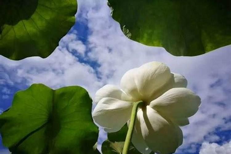 超度法事需要多长时间？