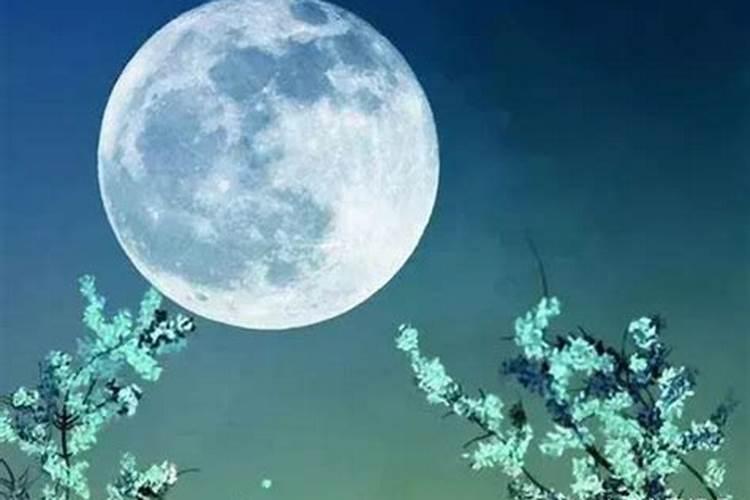 三月十五月中圆是什么意思？