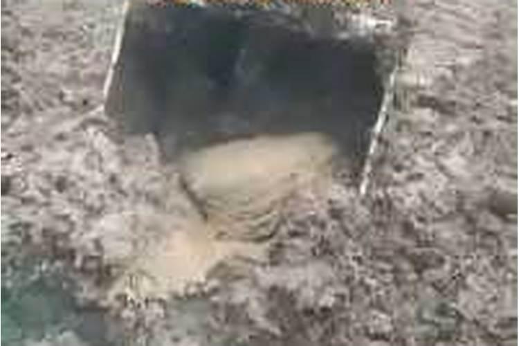 挖到太岁怎么充公？