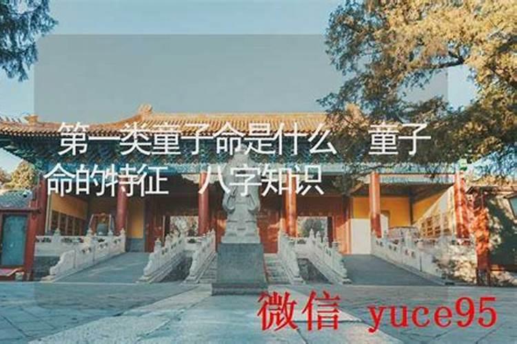 第一类童子命是什么童子？