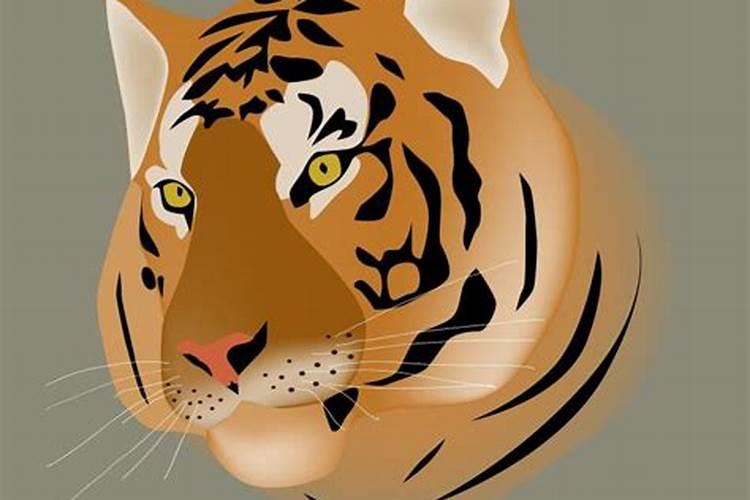 上老虎的19运程怎么样？