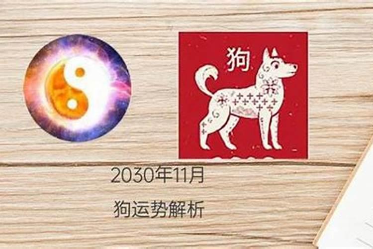 属狗出生在十一月的运势