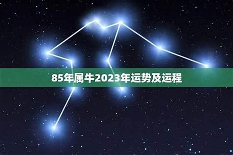 85年属牛女2026下半年运势