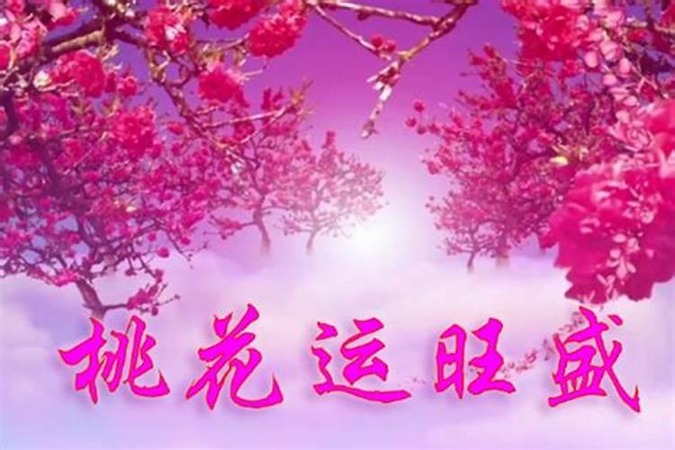 正月初一走桃花运好不好？