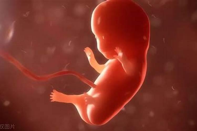 现在堕胎的人越来越多？