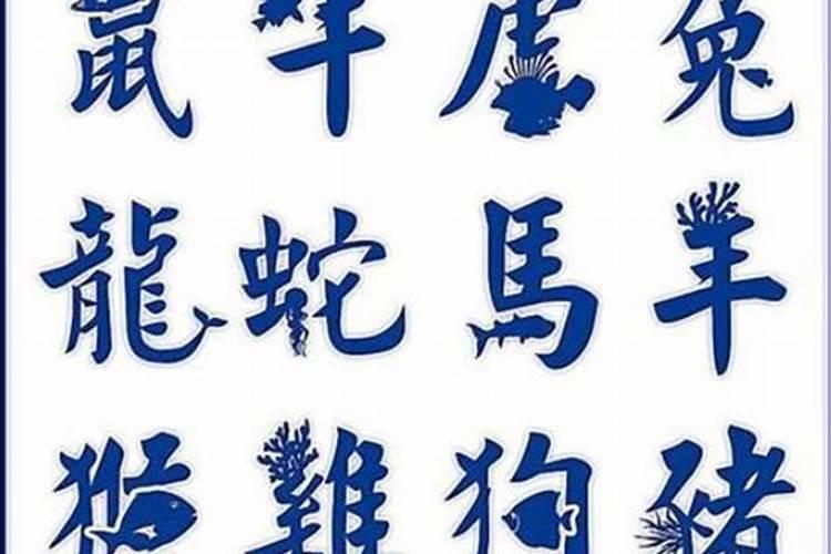 苏民峰2026年运势查询