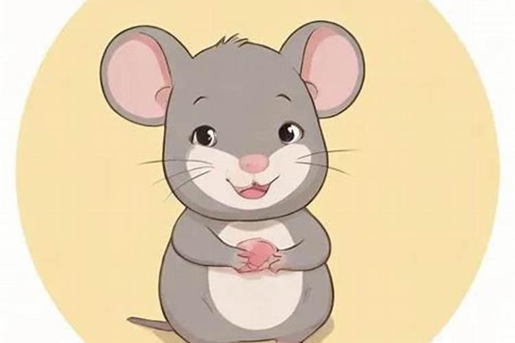 我属鼠的找个什么属相合婚？