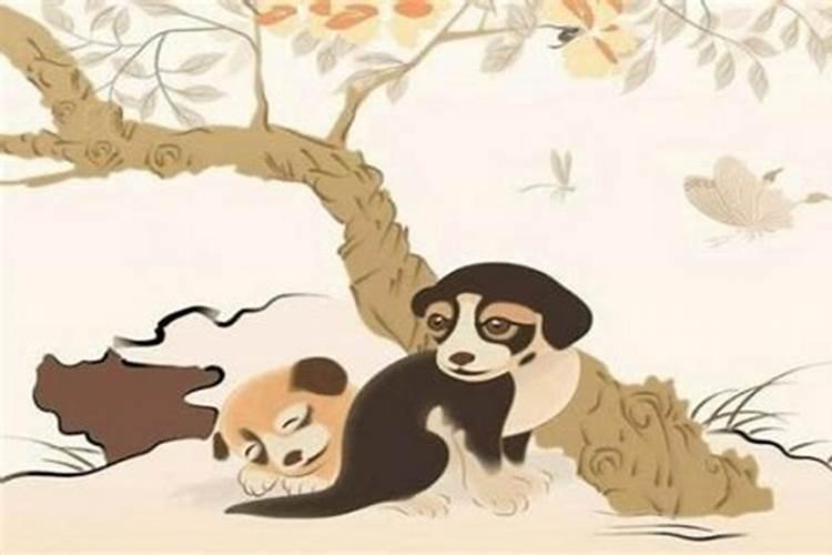 属狗哪年犯太岁最严重？