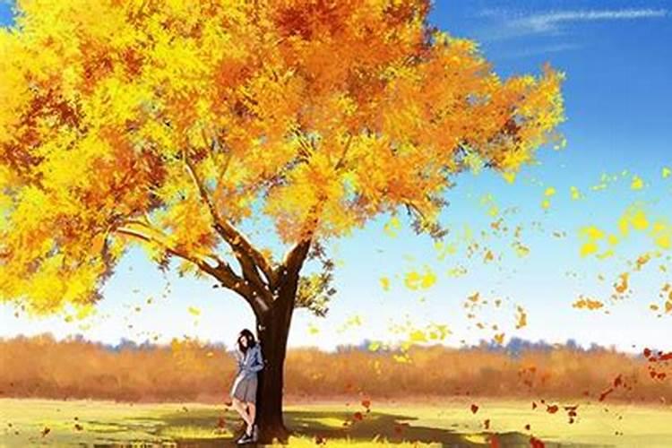 秋分后的节气是哪个？