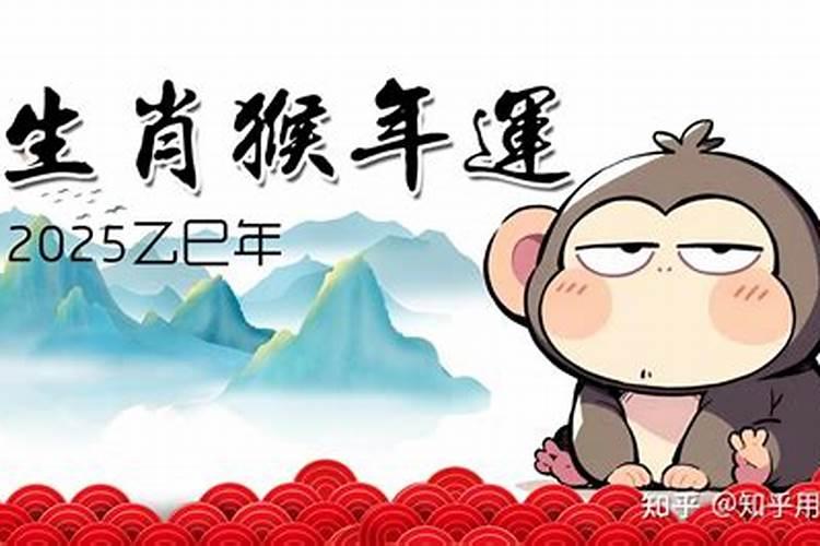 属猴的女人的运势如何？